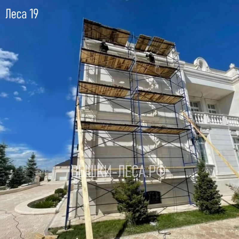 Леса 19