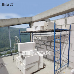 Леса 24